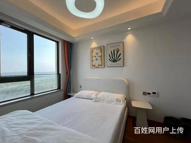 出门武汉站 东湖旁 近杨春湖实验学校 欢乐天际 徐 - 图片 8