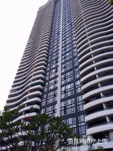 中信红树湾北区 看河景 126平方 保养新 通透 诚心出售 - 图片 10