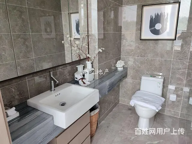 潘安新城城旁大型商业奥特莱斯旁的景区别墅，出门即轻轨 - 图片 10