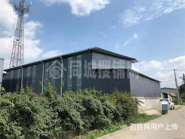 什邡和丰镇600平厂房出租 - 图片 3