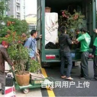 杭州九鼎搬家公司 - 图片 2