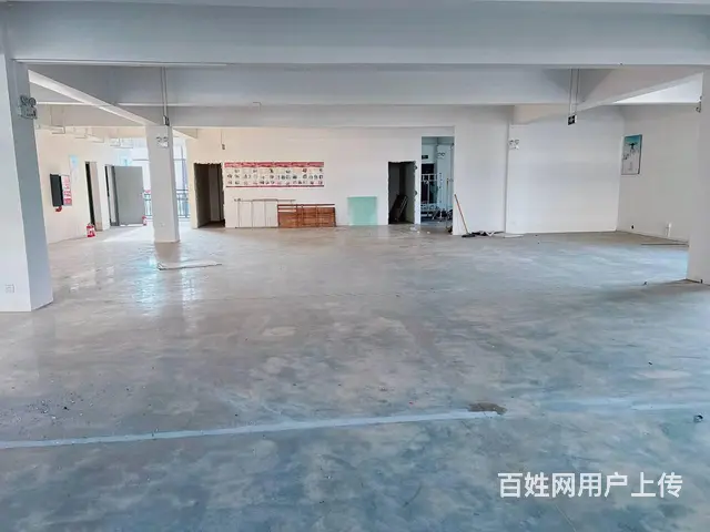 （老板本人）开福区标准园区独栋厂房/仓库/办公楼出租5872 - 图片 3