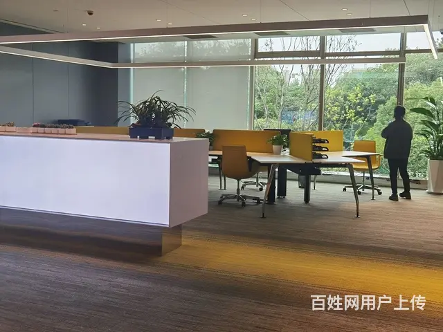 高端品质，独幢花园办公楼，层高7.2米,带露台花园 - 图片 7