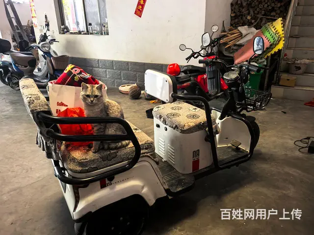 爱玛大三轮 - 图片 4