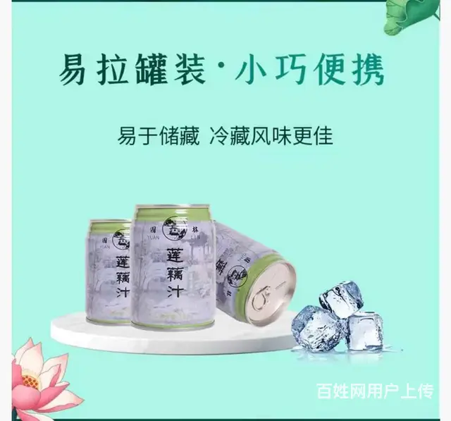 园林牌莲藕汁清甜饮品植物萃取自然原味解暑饮料 - 图片 8