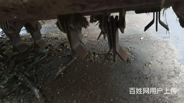 16年，玉柴140，前切中粉，没出过远门 - 图片 2