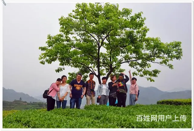 10月11日天晟茶艺培训完全改变了你对茶艺的认知 - 图片 12