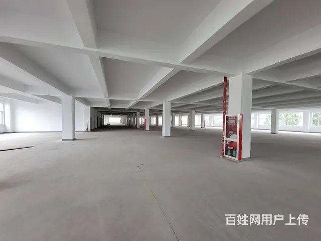 古里全新独栋厂房每层5300平，配有4部3吨货梯，有食堂宿舍 - 图片 4