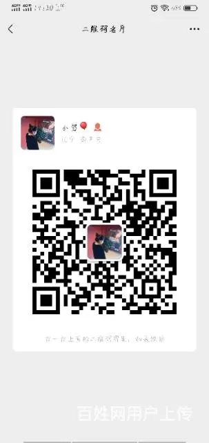 比熊妹妹 50天 1300 - 图片