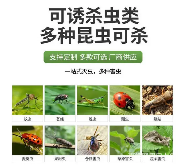 四川太阳能风吸式杀虫灯，杀虫效果好，适用范围广 - 图片 5
