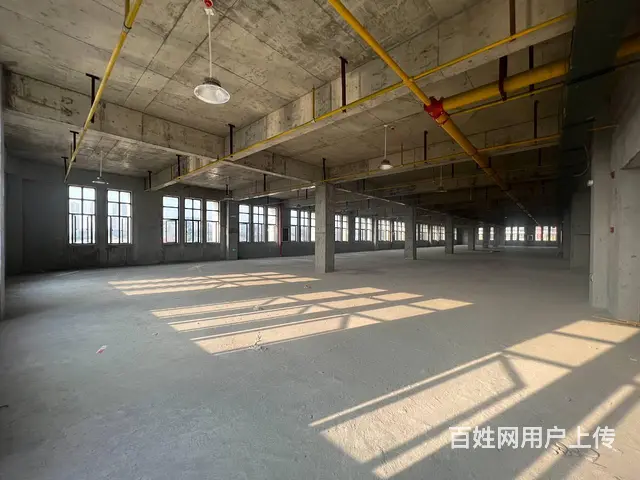 非中介 自有宜昌高新区厂房办公优惠租单层独栋都有 交通便利 - 图片 6