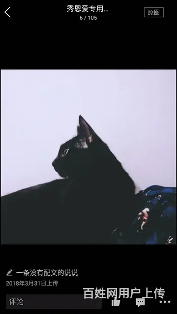 湖北理工寻猫启事 - 图片 3