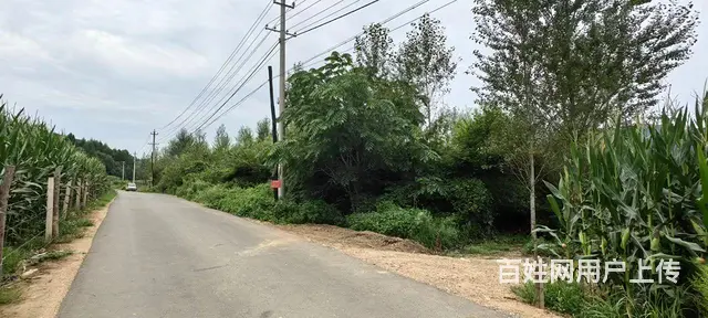 丰满旺起山庄水库出租出售，丰满坝上土地出售 - 图片 12