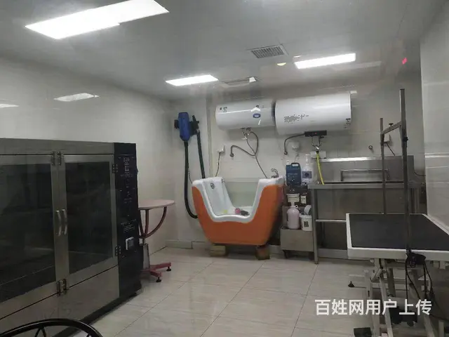 旺铺居）万达广场商业街宠物老店整体转让或空转 - 图片 6