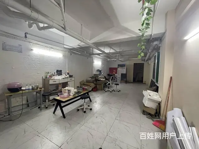 （51旺铺推荐）荔枝沟星域180平整栋3层铺面转让 - 图片 11