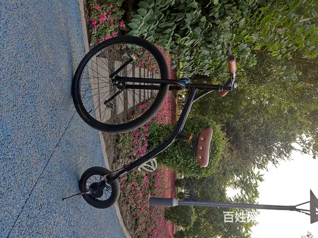 黑龙江只有一台 - 图片 1