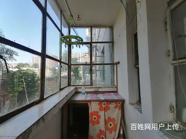 碧桂园名门附近一楼70带小院两室一厅三阳格局清水房 - 图片 5
