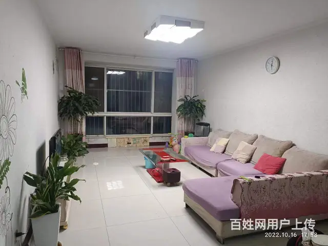 温馨家庭房子出租 - 图片 1