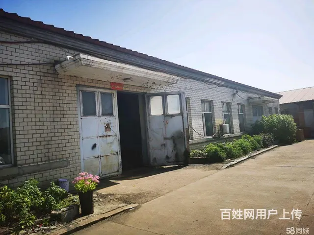 松北区松浦大桥厂房出租 - 图片 4