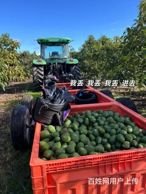 澳大利亚香港 急招建筑工 农场工 普工出国劳务 - 图片 1
