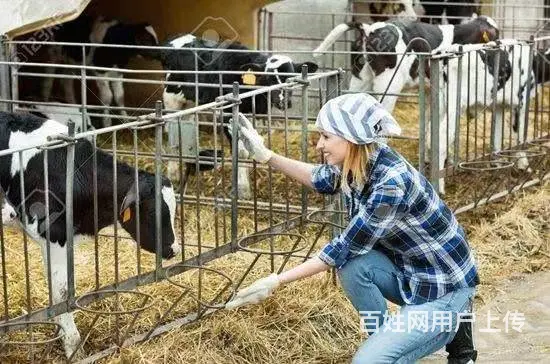 出国劳务55岁以下2年以上工作经验 - 图片 5