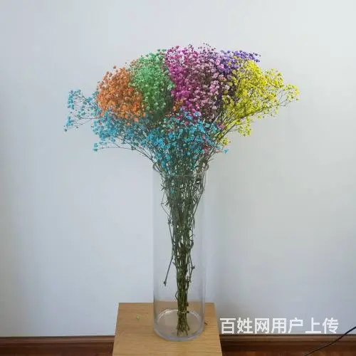斗南教师节备货云南美旗花卉长期批发玫瑰向日葵满天星 - 图片 3