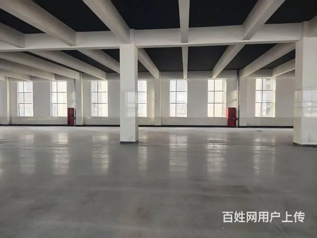 【创美】高区和兴路新建76000平厂房出租，可分层租 - 图片 3