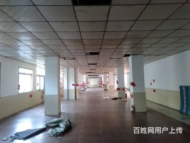 （51旺铺推荐）红城湖主干道1260平一二楼空铺对外招租 - 图片 3