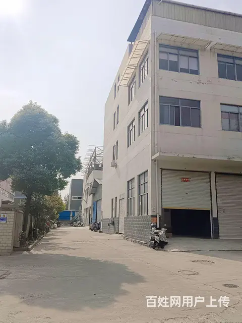 【都市时讯 优选推介】淮上区龙兴路308号厂房出租 - 图片 2