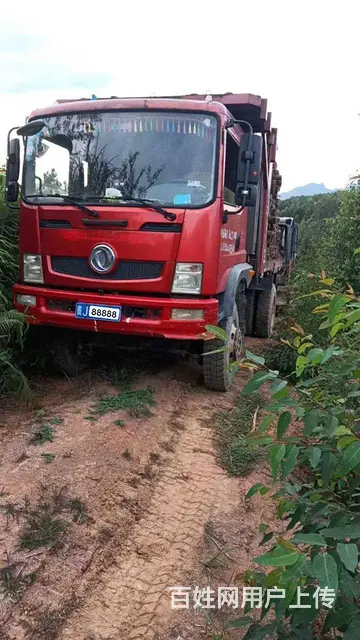 17年东风蓝牌自卸车，拉木神器 - 图片 2
