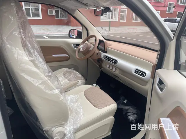 五菱 宏光 2020款 宏光MINI EV 自在款 - 图片 8