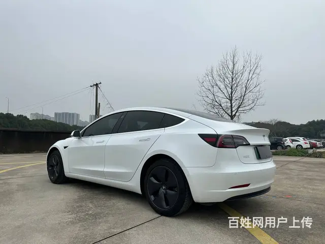 特斯拉Model 3 2020款 标准续航后驱升级版 - 图片 5