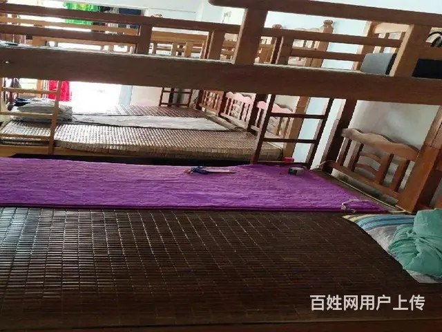 金盘实验学校旁佳佳经典小区90平学生寄宿托管中心转让 - 图片 1