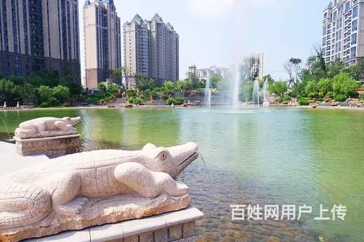 首付分期一手精品现房 - 图片 2