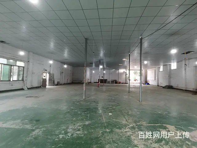 （老板本人）望城区自建厂房仓库房东直租 5250 - 图片 4