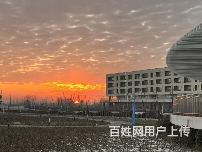 邢台靠谱的小语种随时联系 - 图片 2