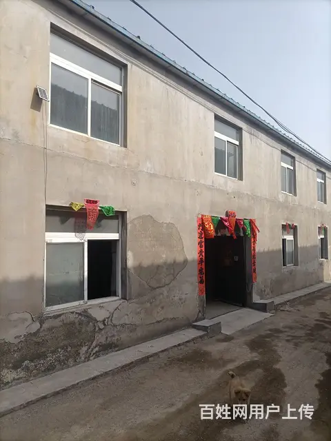 房屋出租 - 图片 1