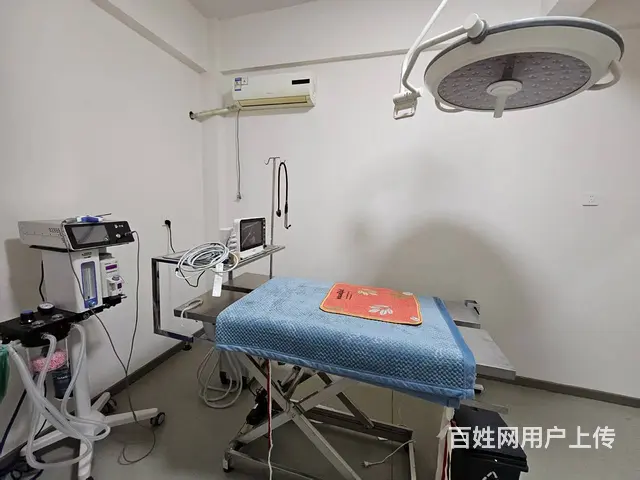 北湾新城小区宠物店出兑转让 宠物店洗洗澡出兑转让证件齐全 - 图片 12