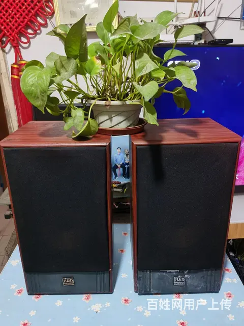 转让一套闲置的高档豪华音箱 - 图片 3