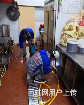 灭鼠公司丶专业提供除蚊蝇公司 - 图片 3