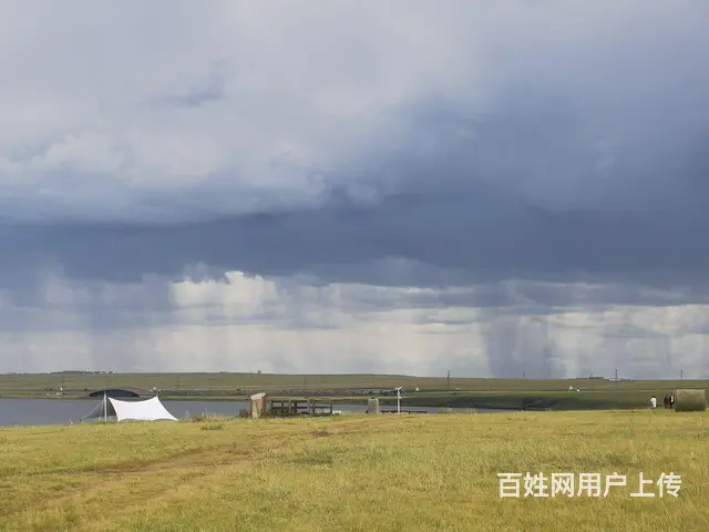 呼伦贝尔大草原旅游巴特尔靠谱 - 图片 4