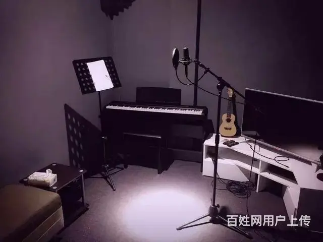 昆山哪里艺考声乐培训成人学唱歌小孩学唱歌哪里专业 - 图片 3