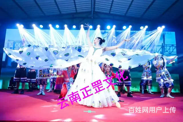 会议摄影摄像、现场直播、婚礼跟拍、视频制作、云摄影 - 图片 6