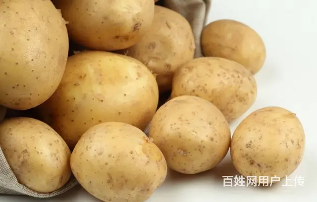 饭堂食品配送-土豆 - 图片 2