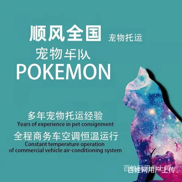 2022缙云县宠物托运（猫狗）邮寄快递（宠物活体运输新*闻） - 图片 4