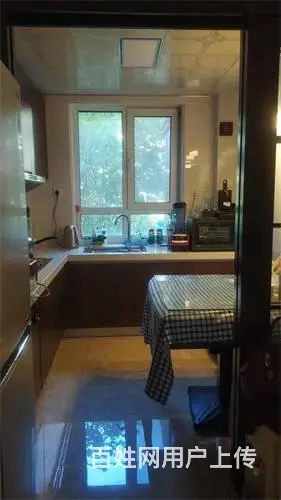 楼房出售，中东绿地卢浮宫馆，一楼带花园出售 - 图片 4