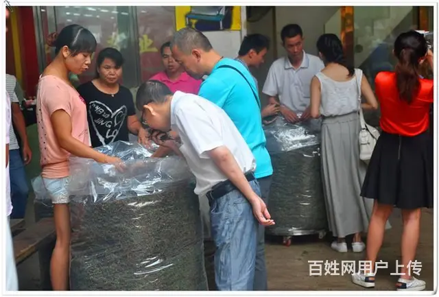 天晟茶艺培训学校中国茶学系统培训班开工了 - 图片 9
