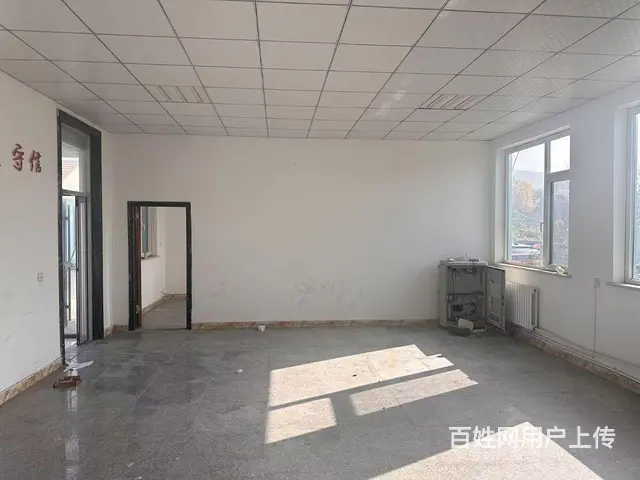 （新房源）张村前双岛村独门独院厂房招租 - 图片 9