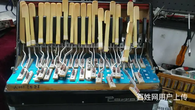 鹦鹉手风琴维修服务，专业百乐金杯鹦鹉手风琴维修 - 图片 5