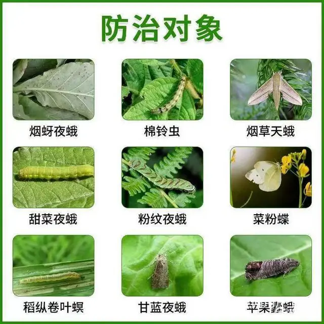 16%甲维茚虫威小菜蛾青虫吊丝虫杀虫剂稻纵卷叶螟 - 图片 2
